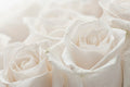 Basic Memorial Jewellery Course