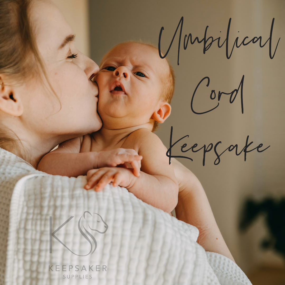 Did you see us on This Morning? We have been teaching the art of umbilical cord preservation for over a decade. You do not have to spend a fortune on custom jewelry when you can create your own stunning heirloom at home. Whether you are on a budget or looking for high-end luxury, our DIY kits provide everything you need to preserve that special first connection. Shop now and start your creative journey.